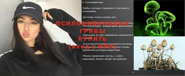 дмт Верхний Тагил