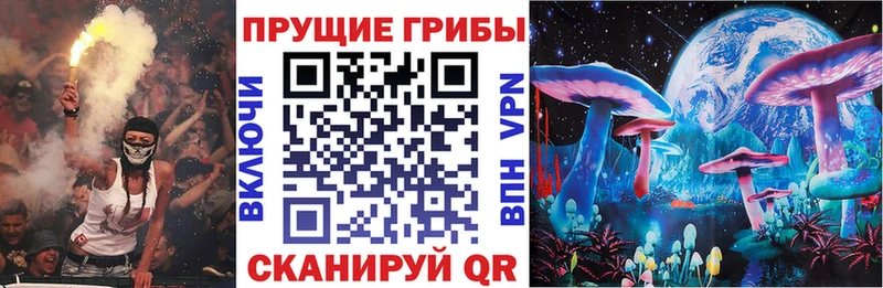 где можно купить   Туран  Псилоцибиновые грибы ЛСД 